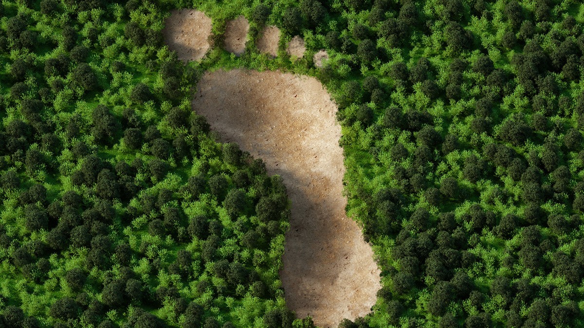 Purchasing & Supplier management | Climate protection and energy efficiency