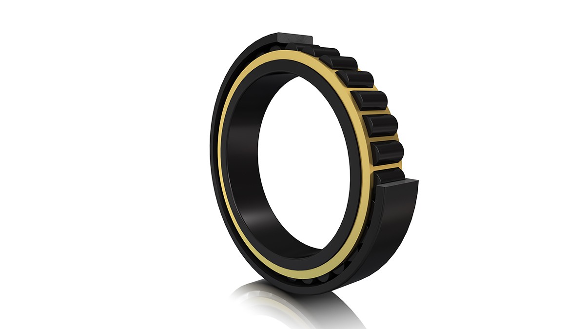 FAG cylindrical roller bearing