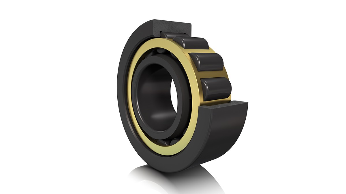 FAG cylindrical roller bearing