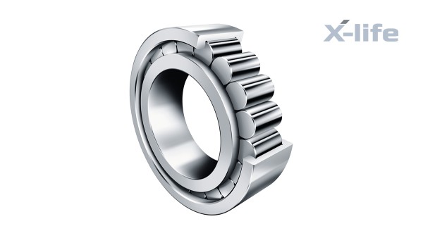 Schaeffler rolling bearings and plain bearings: Full-complement cylindrical roller bearing